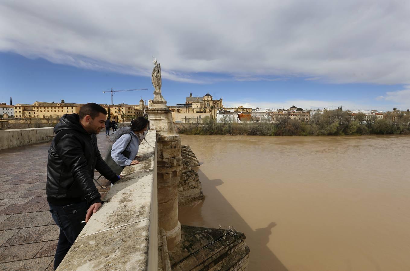 La crecida del río Guadalquivir a su paso por Córdoba, en imágenes