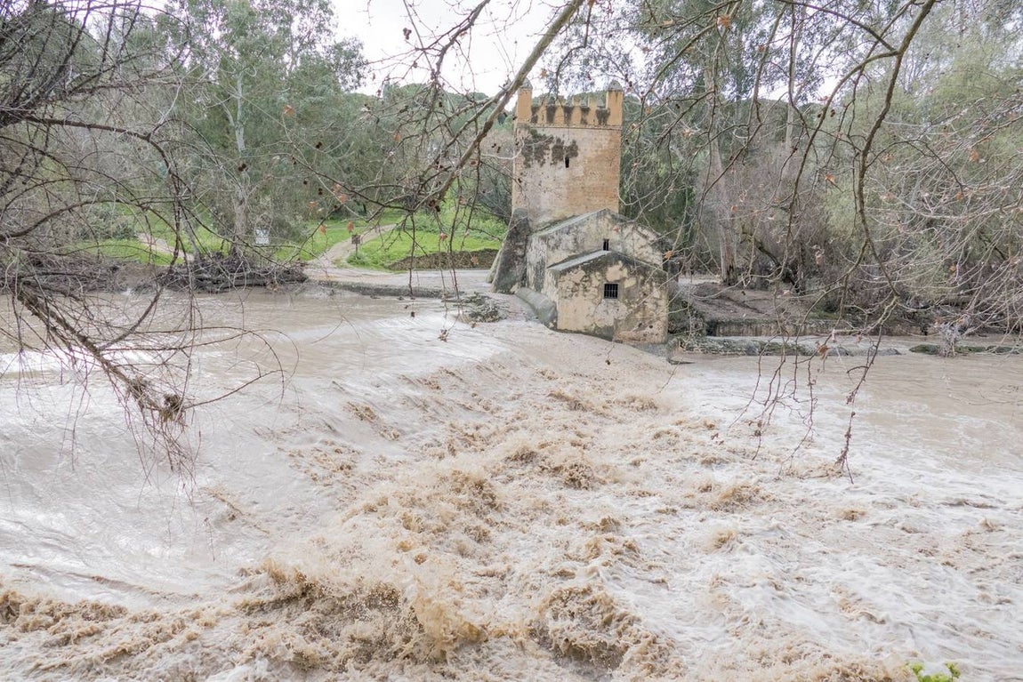 Molinos del río Guadaíra, casi inundados
