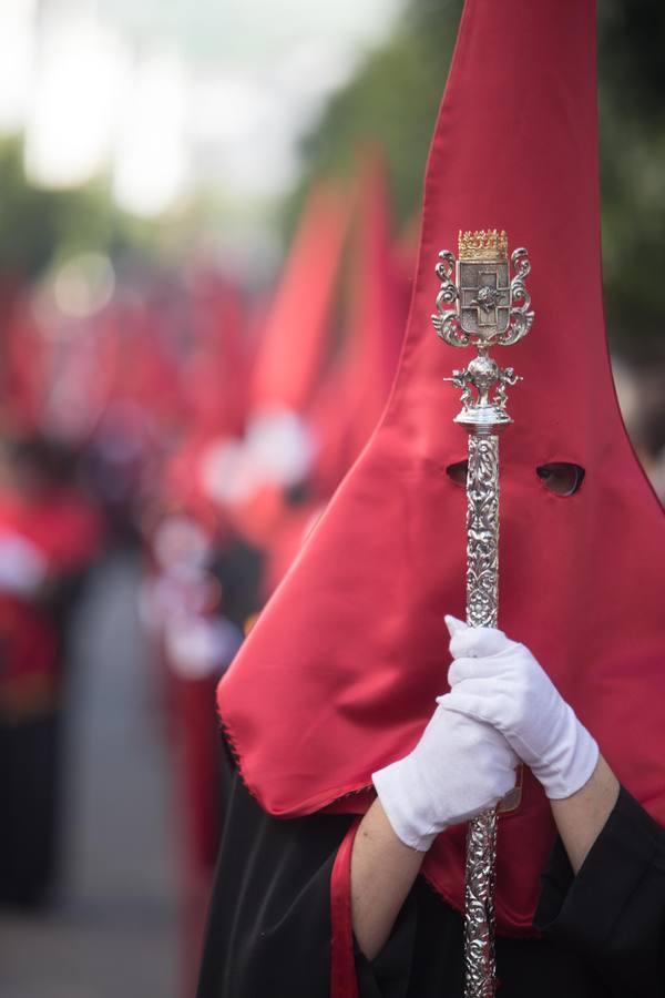 La hermandad de la Caridad, en imágenes