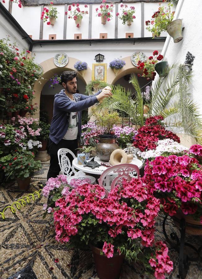 Los preparativos de la Fiesta de los Patios de Córdoba, en imágenes