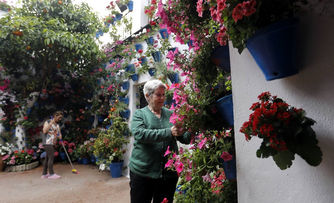 Los preparativos de la Fiesta de los Patios de Córdoba, en imágenes