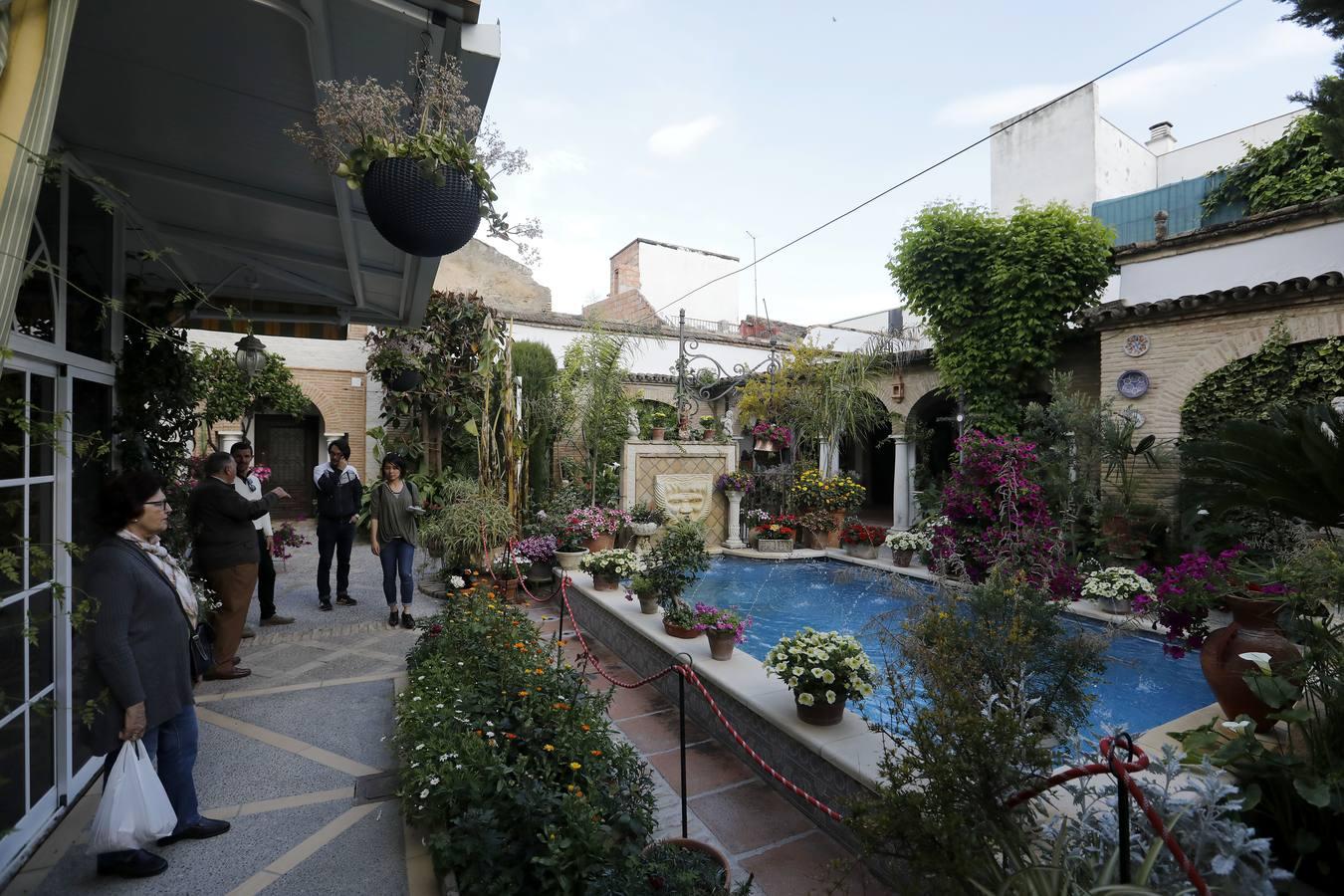 Los patios de Santiago y San Pedro de Córdoba, en imágenes