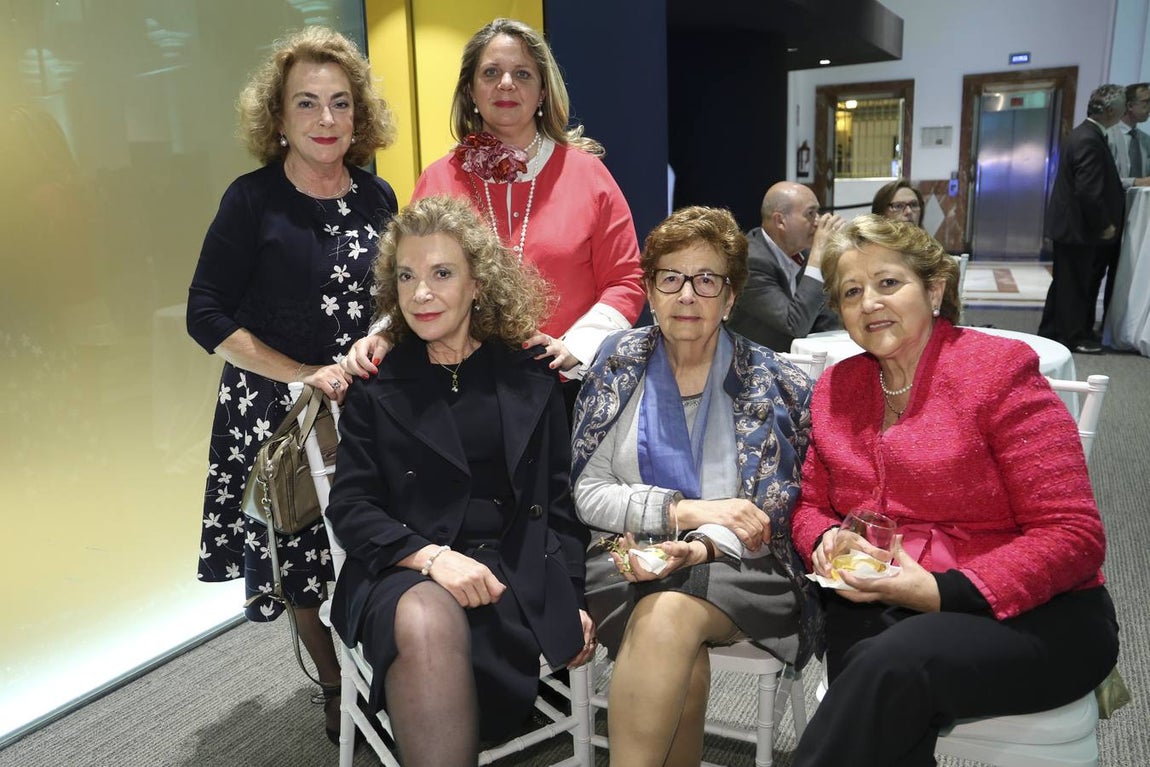 Los asistentes a la V Gala Sevilla Solidaria, en imágenes