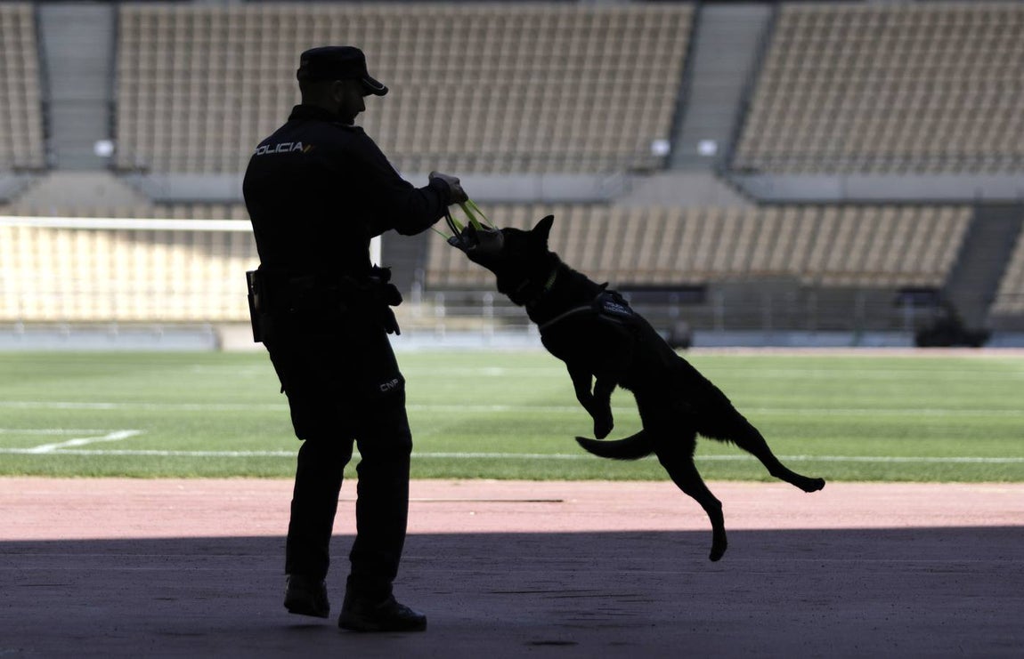Espectacular exhibición de las unidades especiales de la Policía Nacional