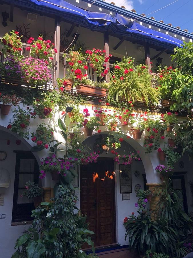 Las fotos de los lectores de ABC Córdoba sobre los Patios