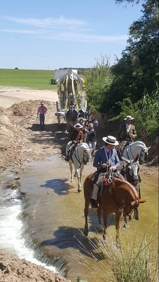 El Rocío 2018: en imágenes, el camino de las hermandades cordobesas