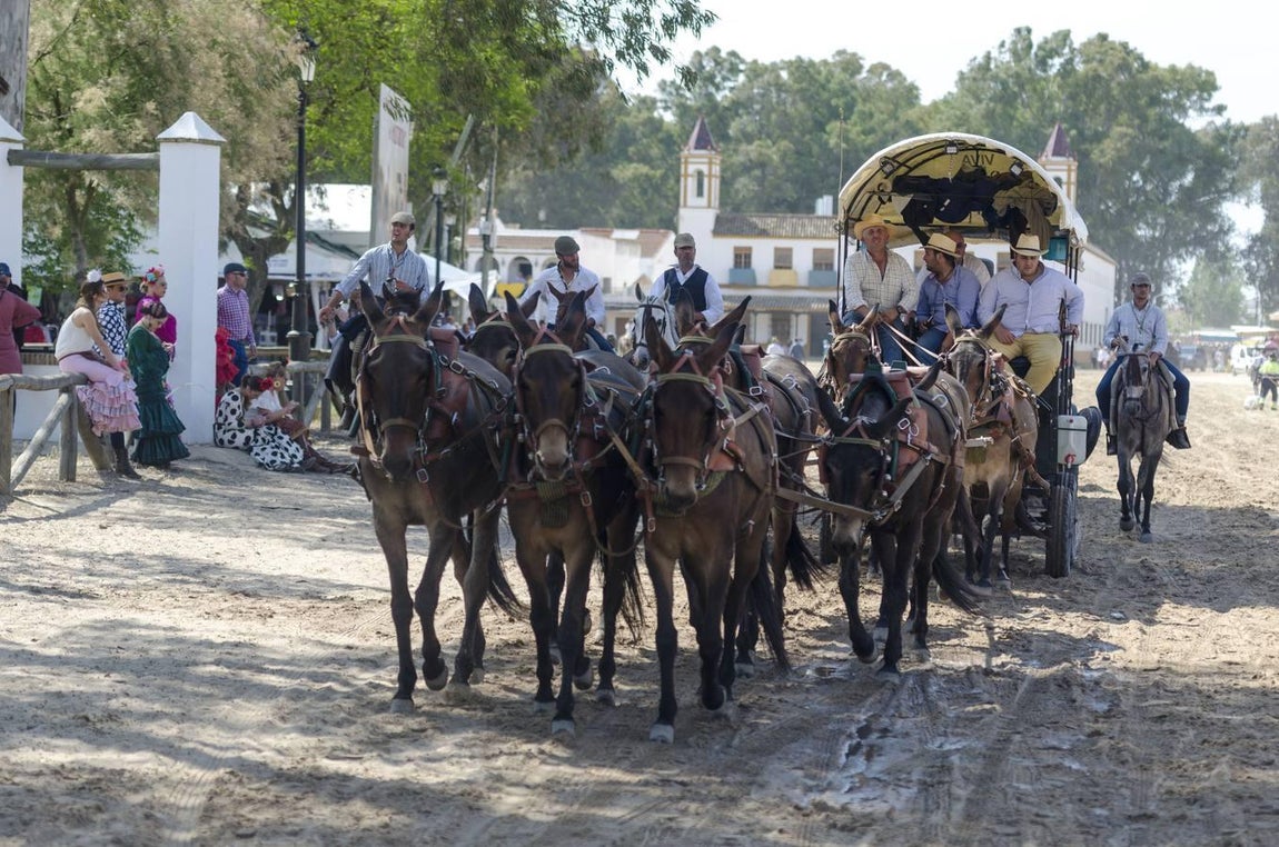 El Rocío 2018: las hermandades van llegando a la aldea