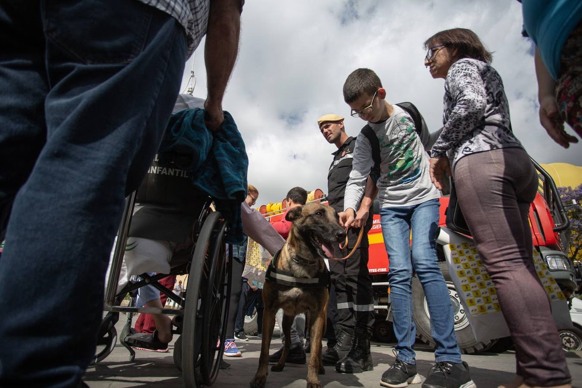 Jornada de convivencia entre las Fuerzas Armadas y niños ingresados en el Hospital Virgen del Rocío de Sevilla