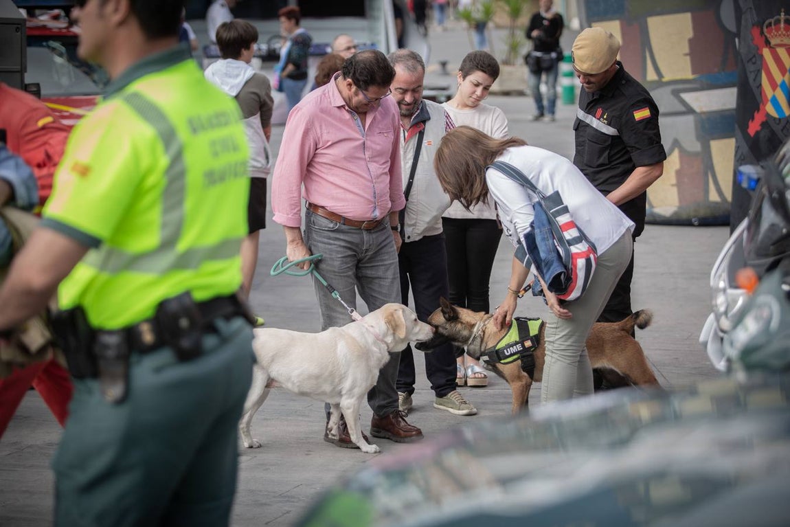 Jornada de convivencia entre las Fuerzas Armadas y niños ingresados en el Hospital Virgen del Rocío de Sevilla