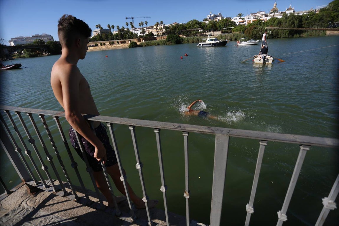 La tradicional cucaña de la Velá de Triana, en imágenes