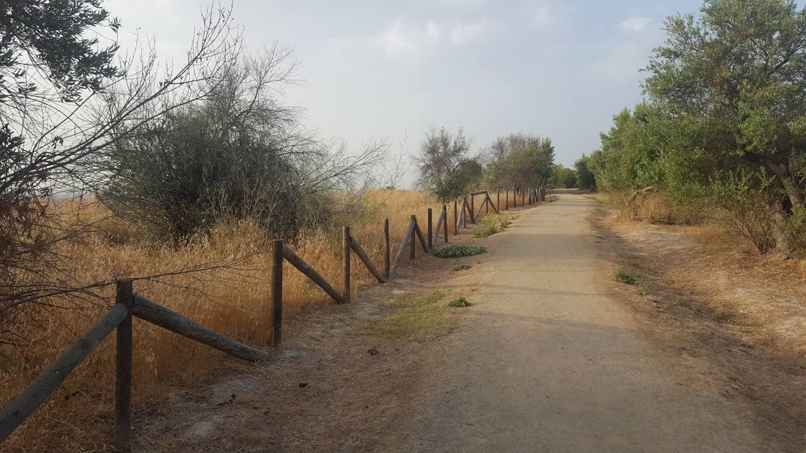 El parque de la cornisa de Gelves, abandonado por el Ayuntamiento