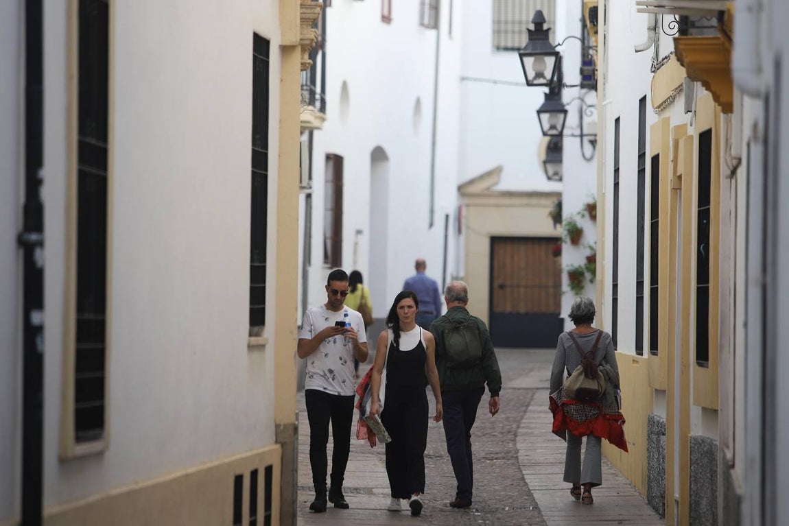 El Festival de las Callejas de Córdoba, en imágenes