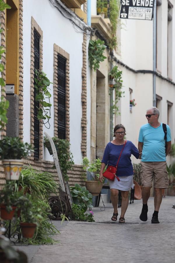 El Festival de las Callejas de Córdoba, en imágenes