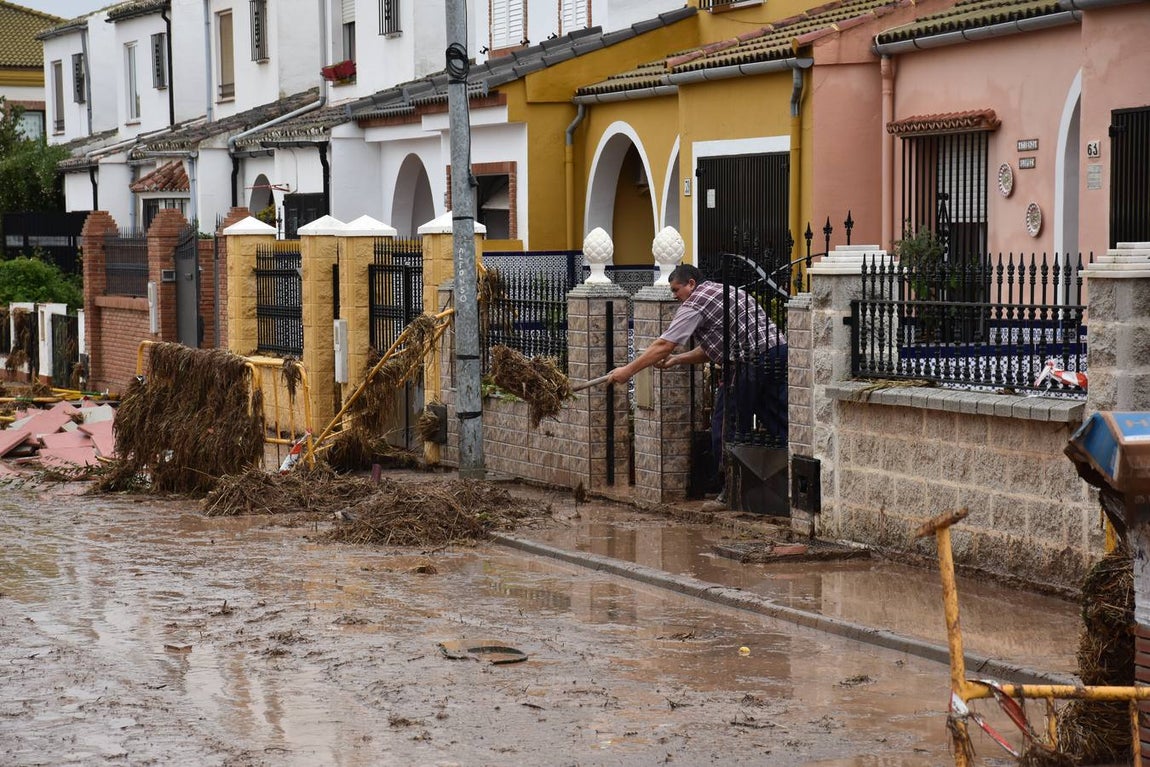 En imágenes, los estragos del temporal en el municipio malagueño de Campillos