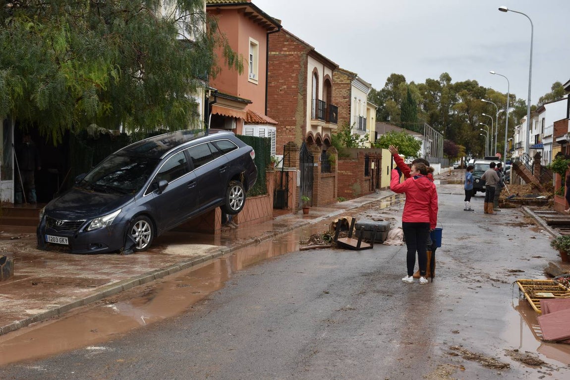 En imágenes, los estragos del temporal en el municipio malagueño de Campillos