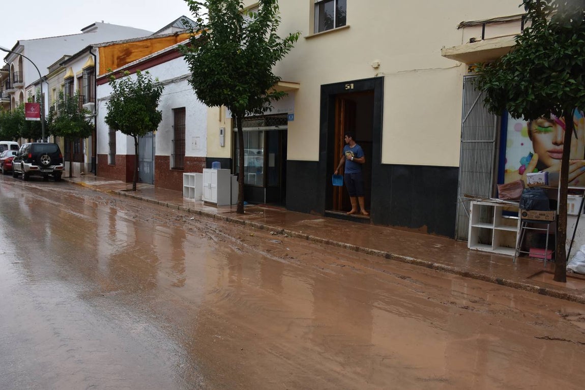 En imágenes, los estragos del temporal en el municipio malagueño de Campillos