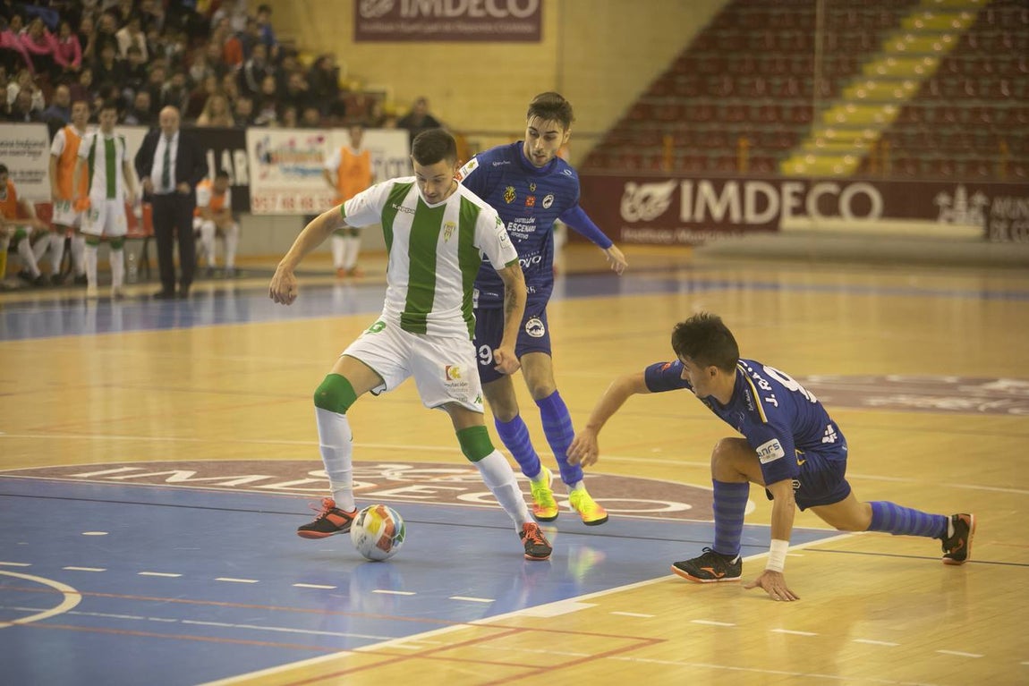 Las mejores imágenes del Córdoba Futsal-Bisontes