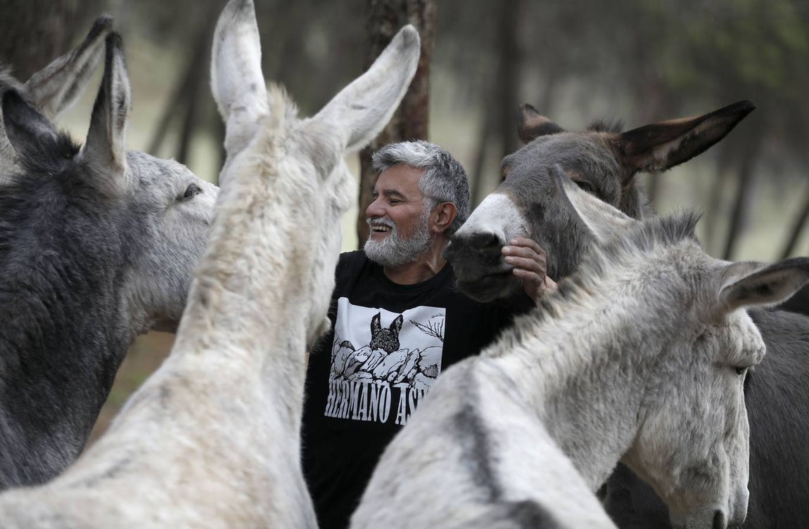 Un paseo por la Navidad de Rute, en imágenes