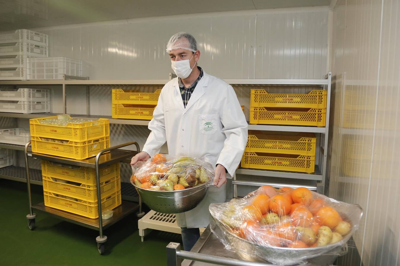 El nuevo tren de lavado de la cocina del Reina Sofía, en imágenes