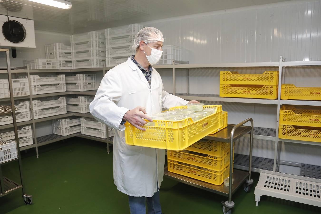 El nuevo tren de lavado de la cocina del Reina Sofía, en imágenes