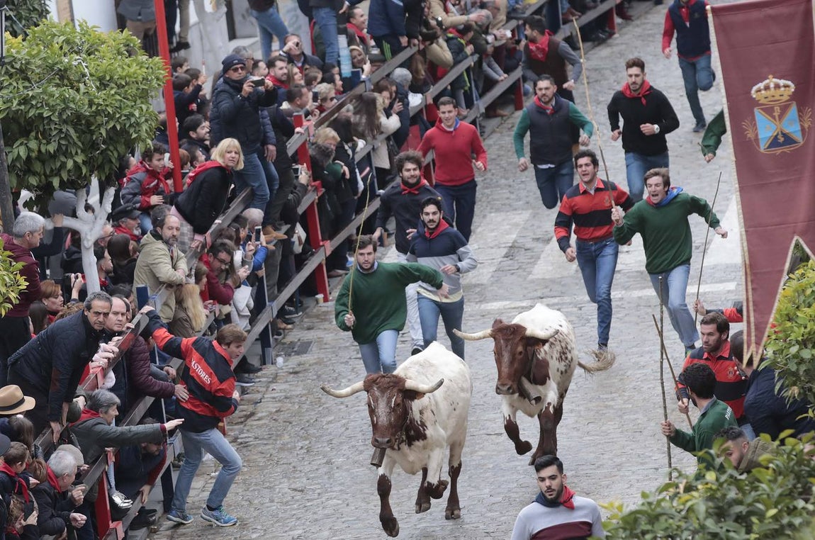 Rotundo éxito del encierro en honor a San Sebastián en la Puebla del Río