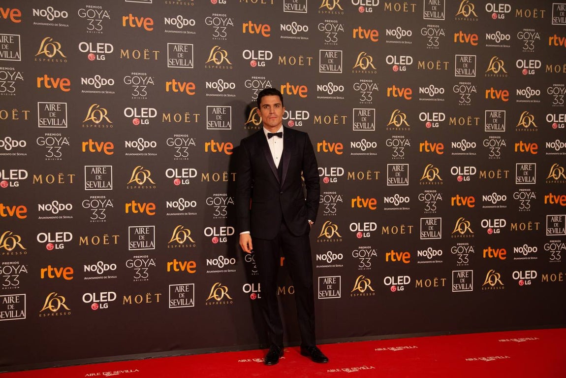Premios Goya 2019: El cine se viste de gala en Sevilla (II)