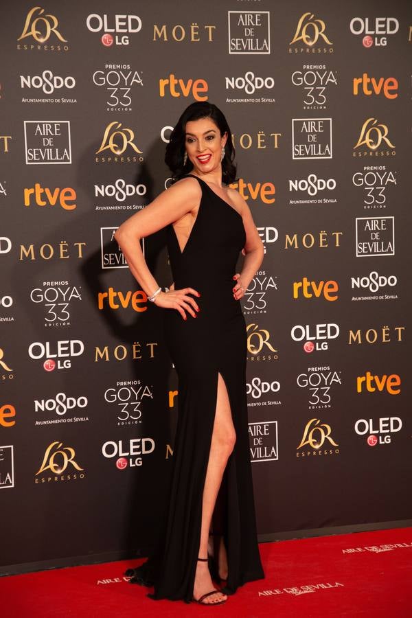 Premios Goya 2019: El cine se viste de gala en Sevilla (II)