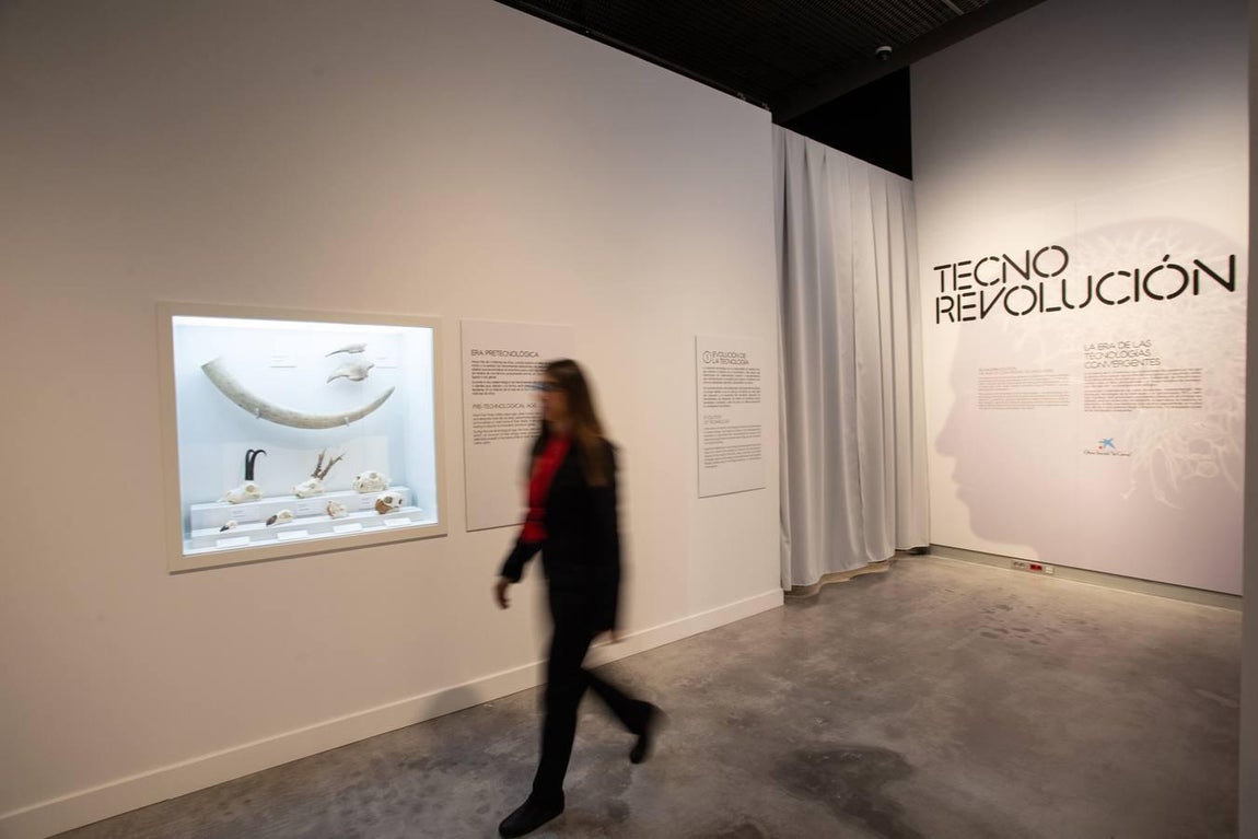 En imágenes: CaixaForum celebra su segundo aniversario en Sevilla con Ciencia