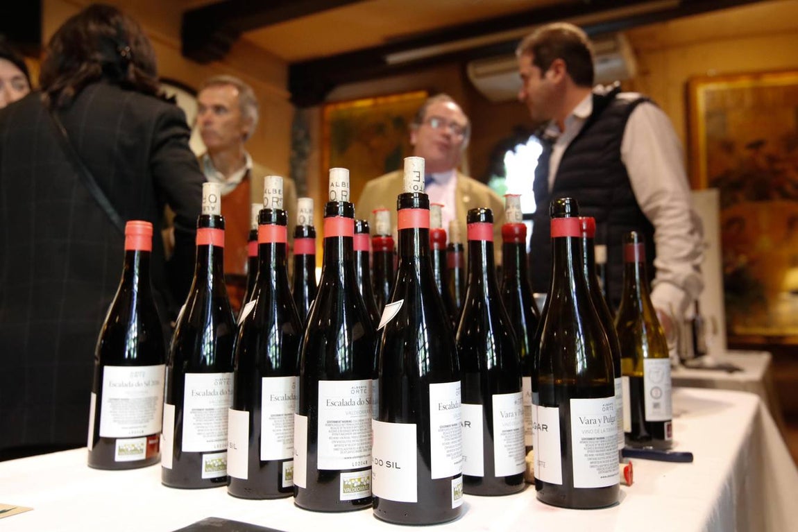 La cata de los mejores vinos de España en Bodegas Campos, en imágenes