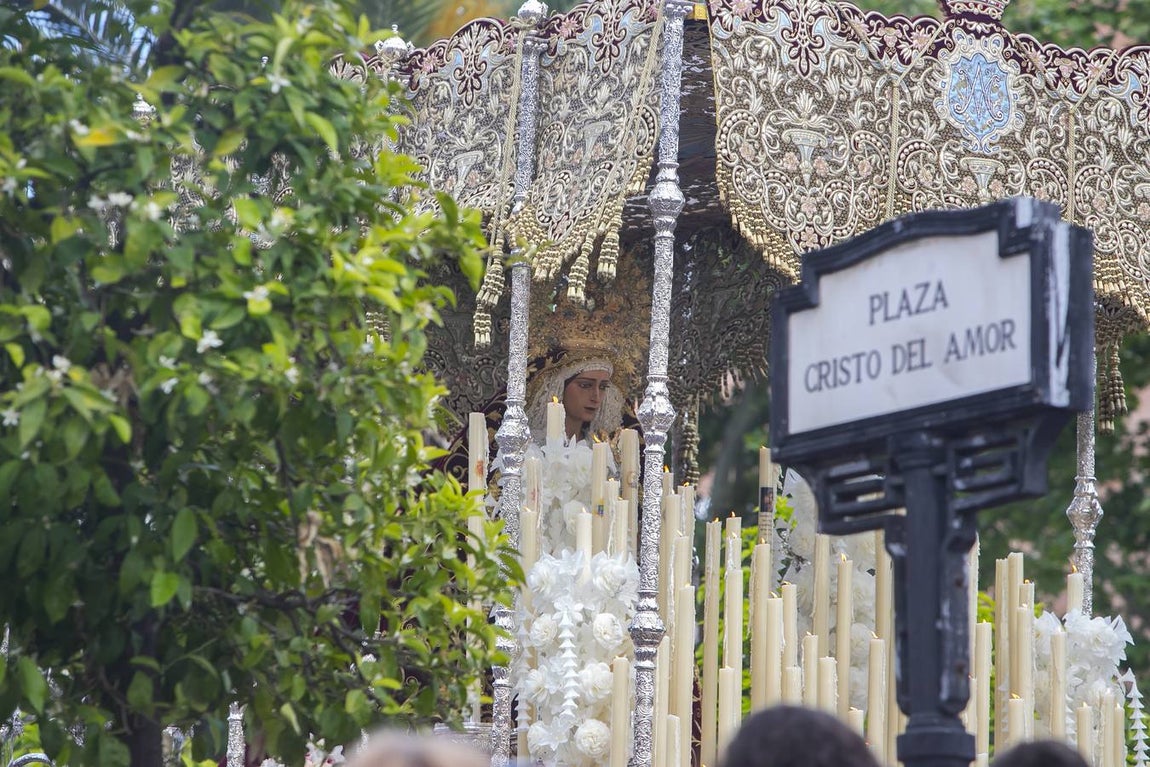 La procesión del Amor, en imágenes