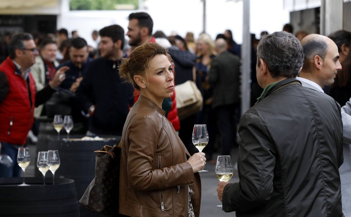 El primer día de la Cata de Vino de Córdoba 2019, en imágenes