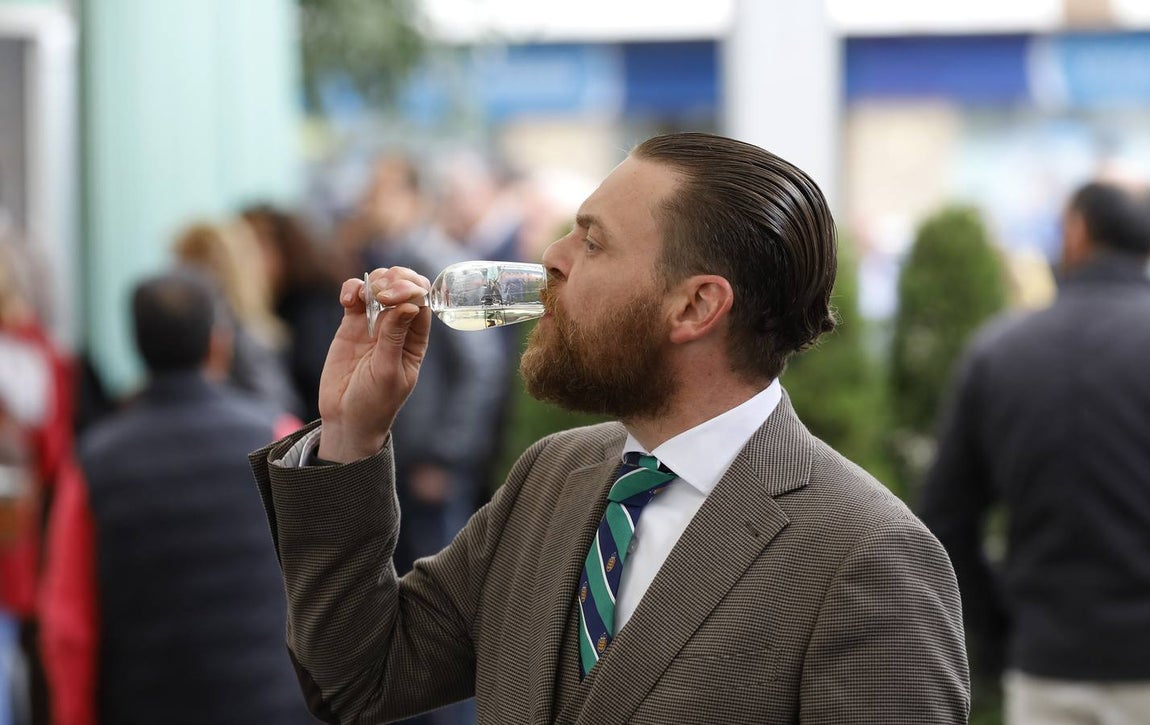 El primer día de la Cata de Vino de Córdoba 2019, en imágenes