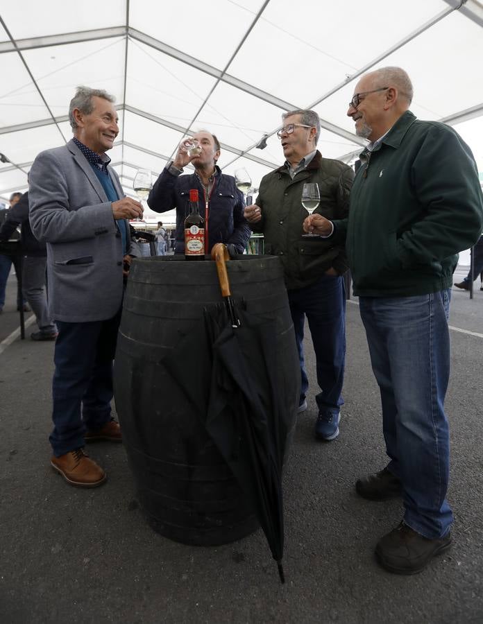 El primer día de la Cata de Vino de Córdoba 2019, en imágenes