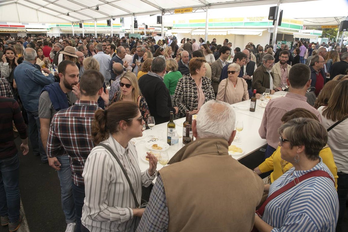 El segundo día de la Cata Montilla-Moriles, en imágenes