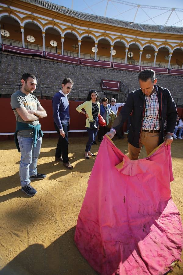 Jornada de puertas abiertas en la Plaza de Toros de la Real Maestranza de Sevilla