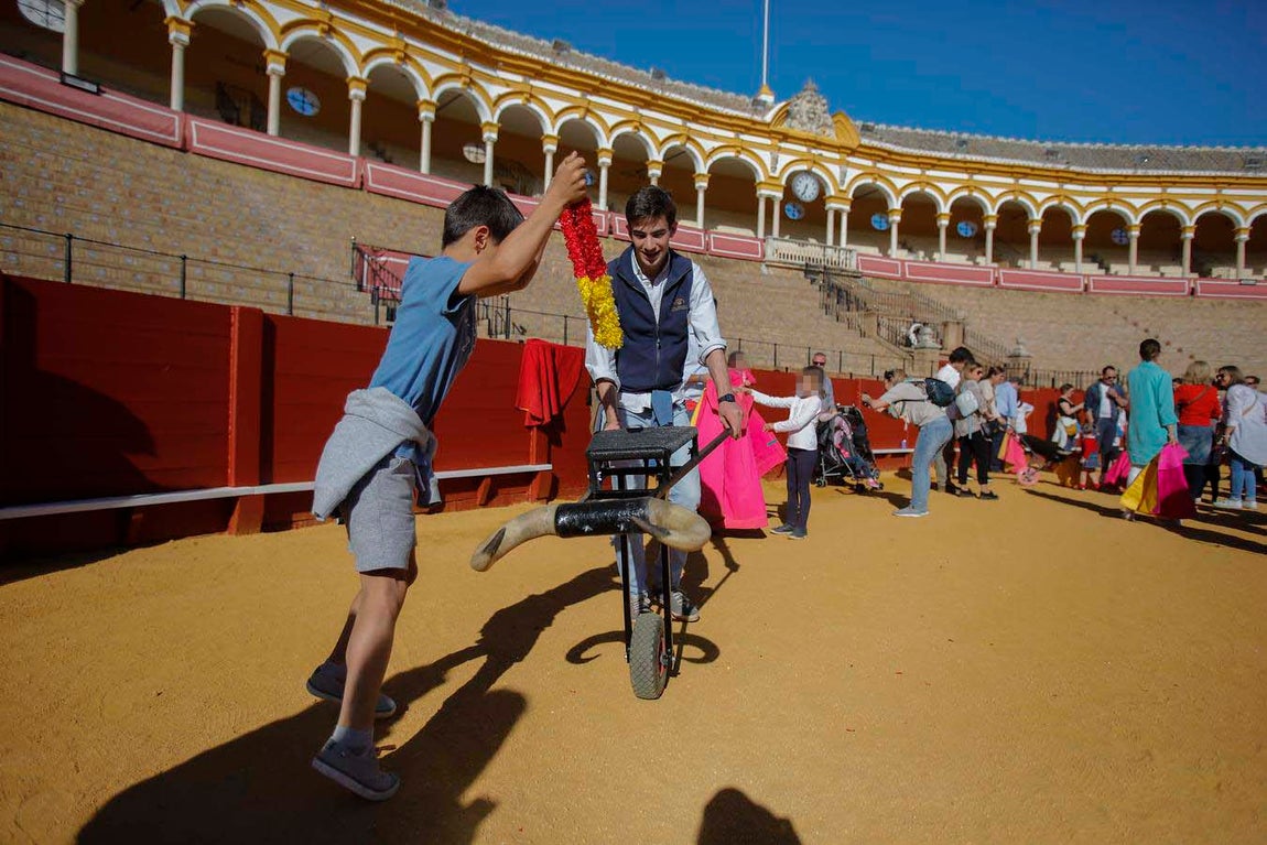 Jornada de puertas abiertas en la Plaza de Toros de la Real Maestranza de Sevilla