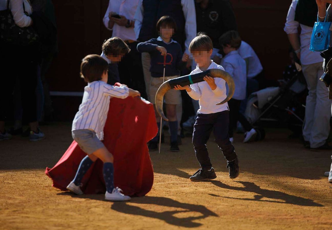 Jornada de puertas abiertas en la Plaza de Toros de la Real Maestranza de Sevilla