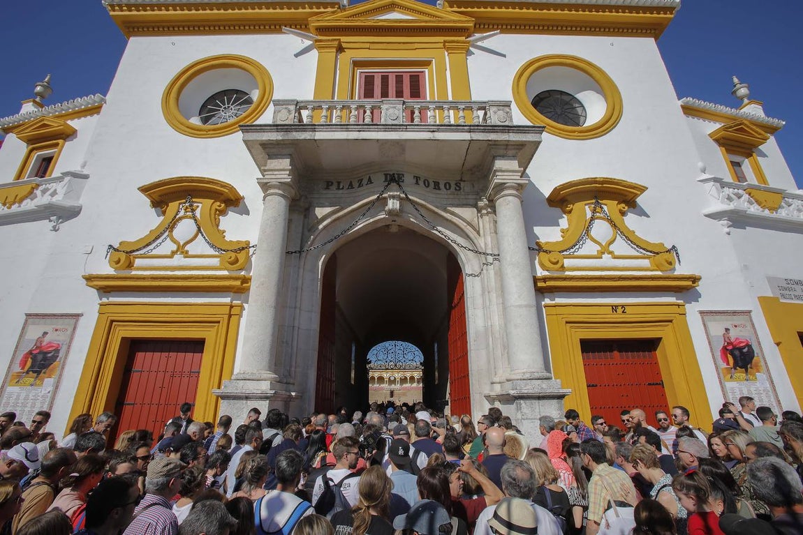 Jornada de puertas abiertas en la Plaza de Toros de la Real Maestranza de Sevilla