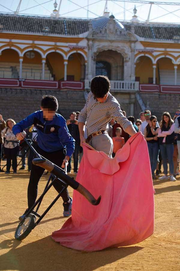 Jornada de puertas abiertas en la Plaza de Toros de la Real Maestranza de Sevilla