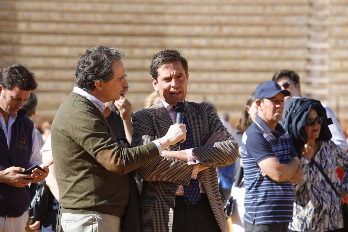 Jornada de puertas abiertas en la Plaza de Toros de la Real Maestranza de Sevilla