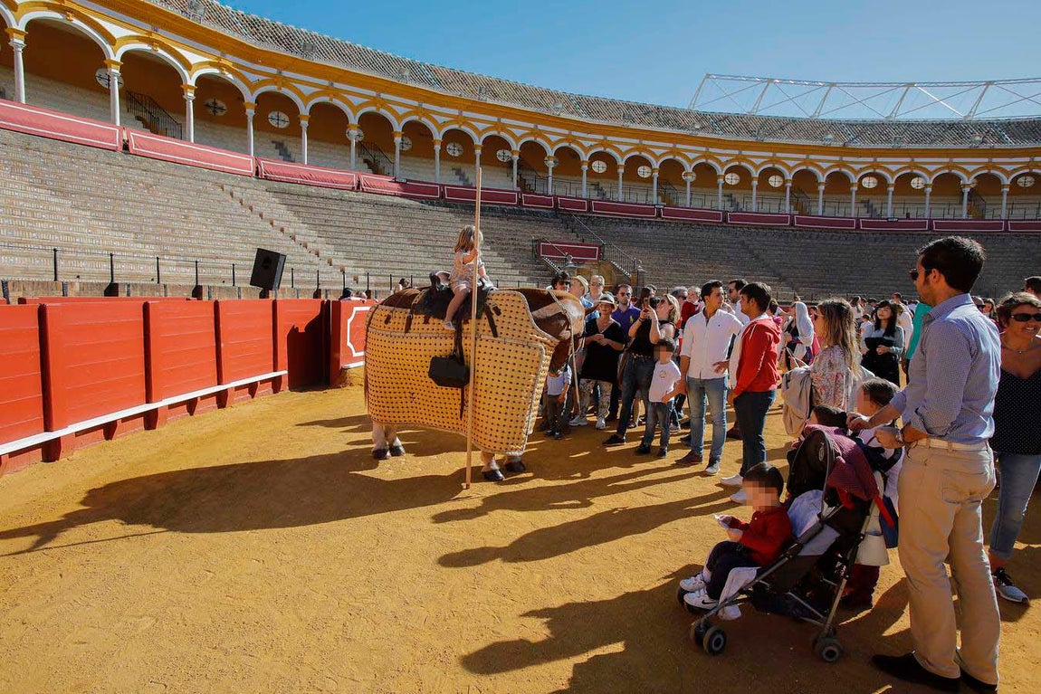 Jornada de puertas abiertas en la Plaza de Toros de la Real Maestranza de Sevilla