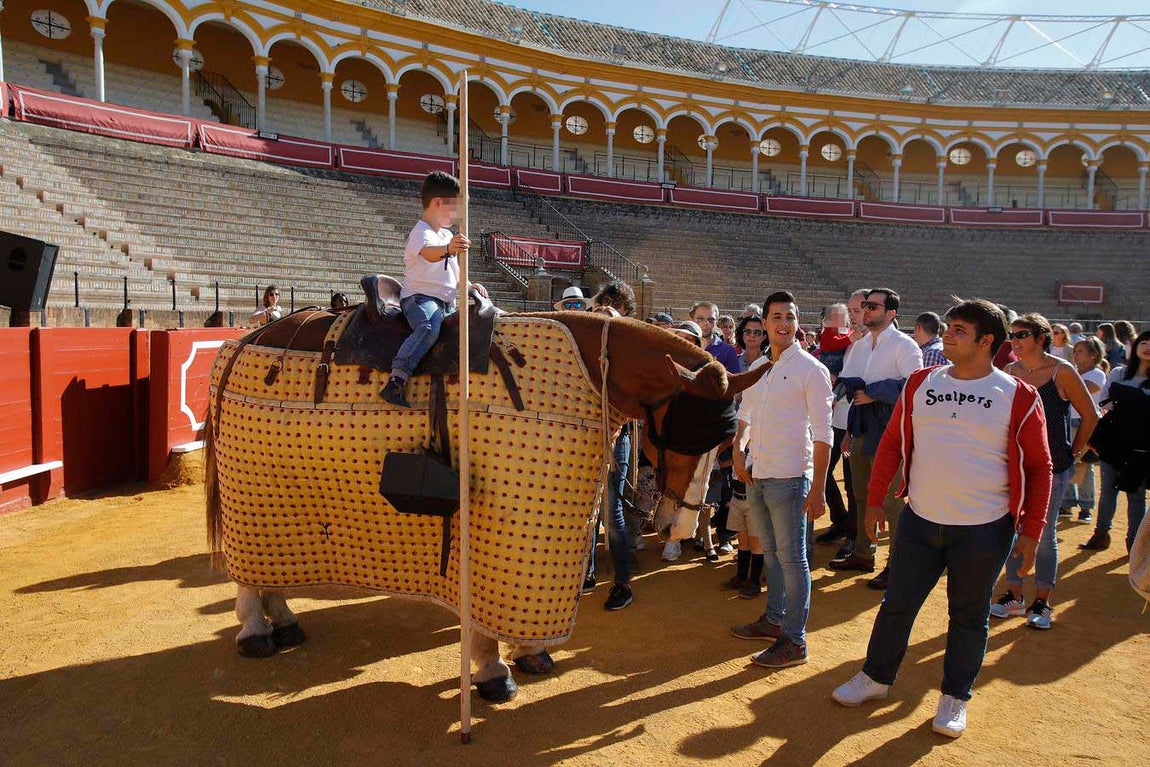 Jornada de puertas abiertas en la Plaza de Toros de la Real Maestranza de Sevilla