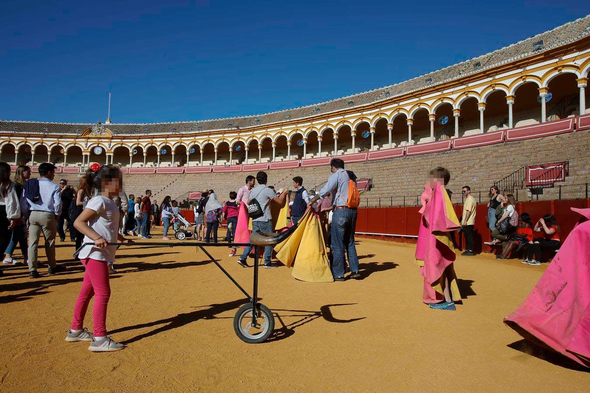 Jornada de puertas abiertas en la Plaza de Toros de la Real Maestranza de Sevilla