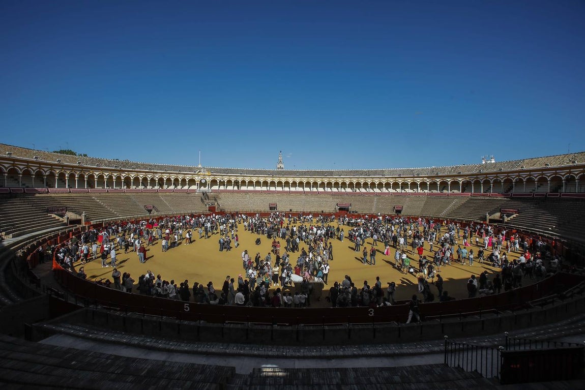 Jornada de puertas abiertas en la Plaza de Toros de la Real Maestranza de Sevilla