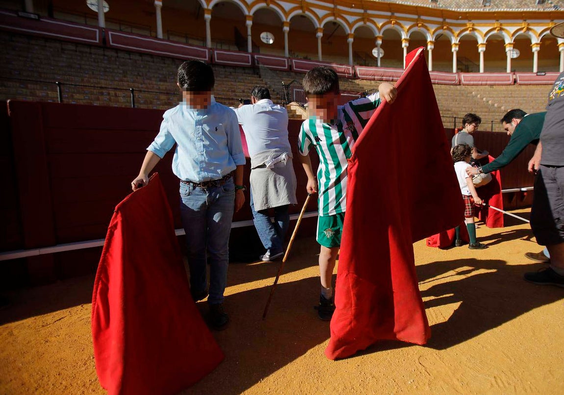 Jornada de puertas abiertas en la Plaza de Toros de la Real Maestranza de Sevilla