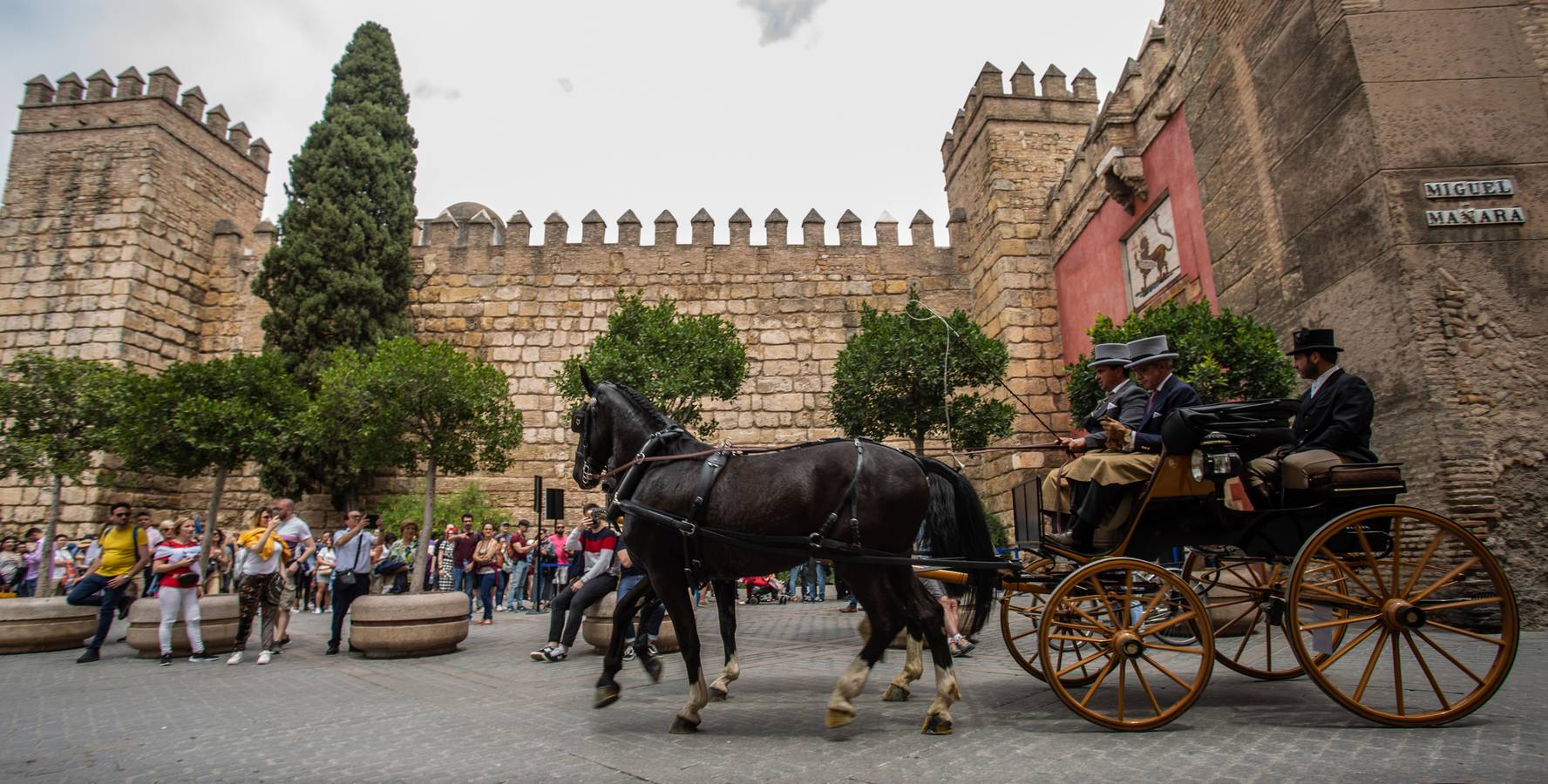 En imágenes, el Concurso y posterior paseo de los Enganches por Sevilla