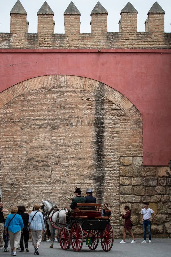 En imágenes, el Concurso y posterior paseo de los Enganches por Sevilla