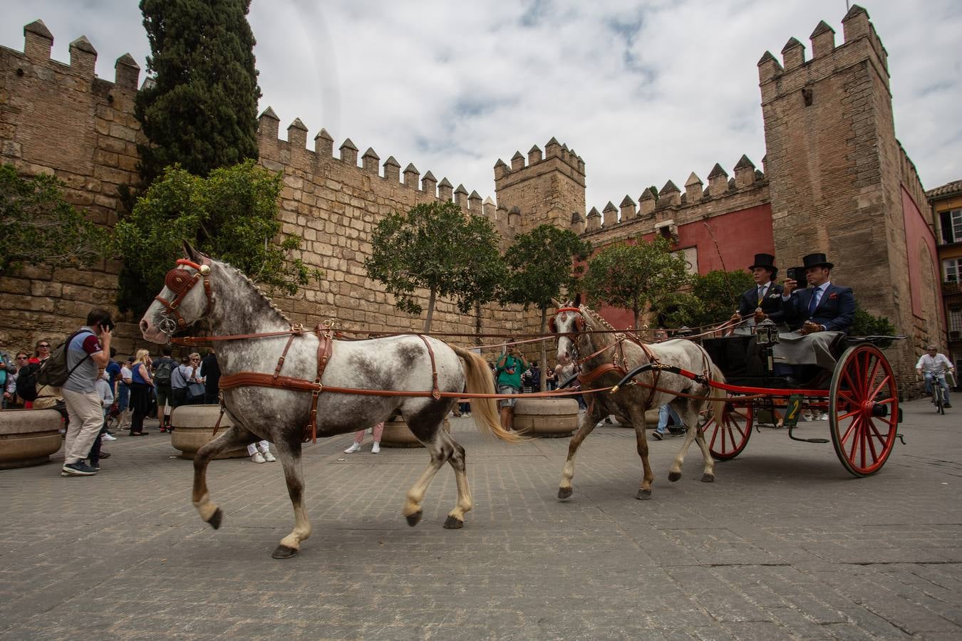 En imágenes, el Concurso y posterior paseo de los Enganches por Sevilla