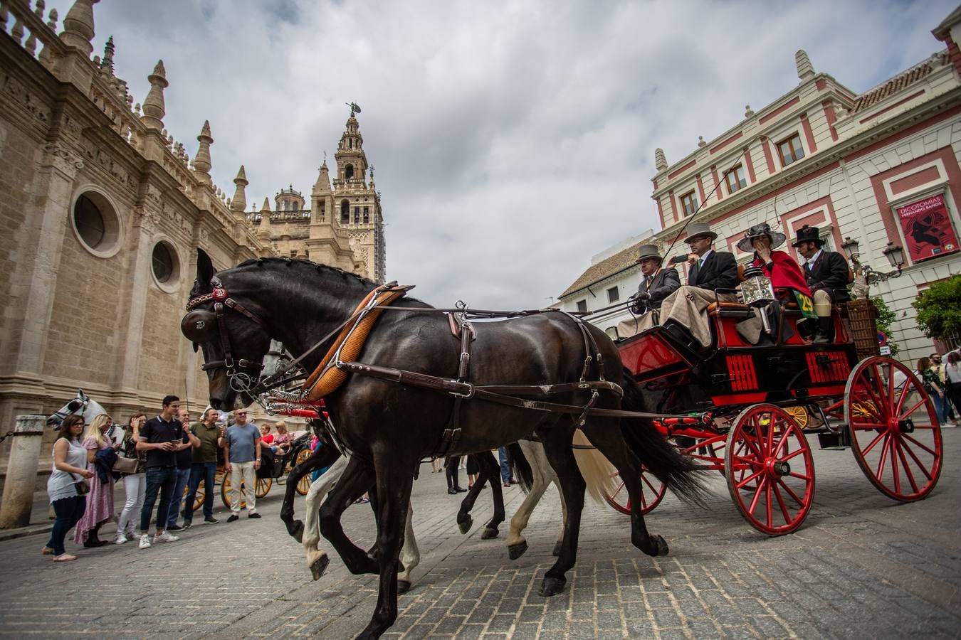 En imágenes, el Concurso y posterior paseo de los Enganches por Sevilla