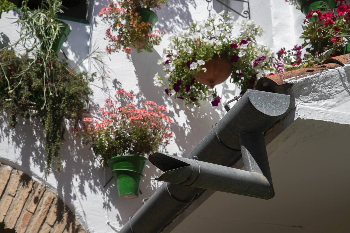 La autenticidad de los Patios de Córdoba en Santa Marina y San Agustín, en imágenes